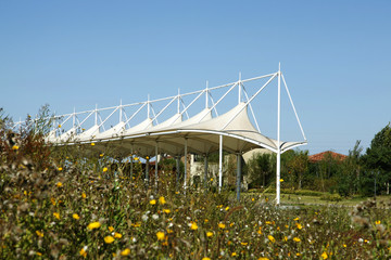 The golf course landscape