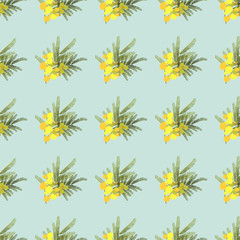 Floral  mimosa retro vintage background