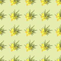 Floral  mimosa retro vintage background