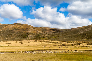 Countryside of Tierra del Fuego island, Chile