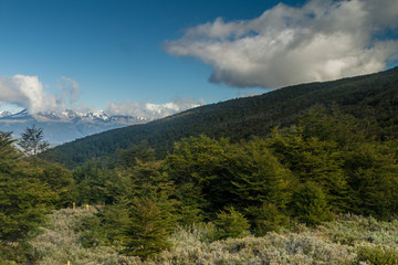 Fototapeta na wymiar Mountains in National Park Tierra del Fuego, Argentina