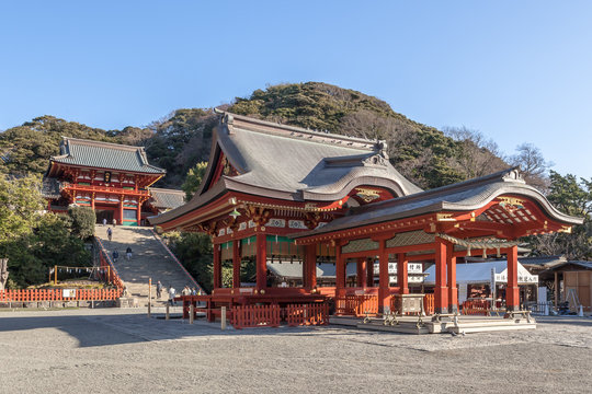 新品　DVD　自然の中の神々5　箱根神社　鶴岡八幡宮◆◆送料無料●● 2025年最新版】鶴岡八幡宮で七五三を迎える方へ｜撮影・着付け