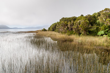 Cucao lake in Chiloe national park, Chile
