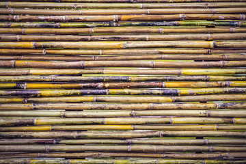 bamboo patterns for natural background.