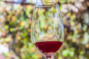Glass of wine in a winery near Mendoza, Argentina