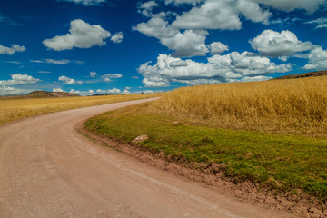 Road in cereal fields near Maras village, Sacred Valley, Peru