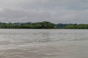 Jungle along river Napo, Ecuador
