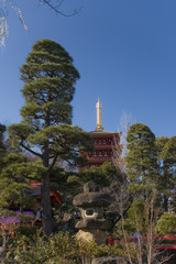 高幡不動尊・弁天堂と五重塔