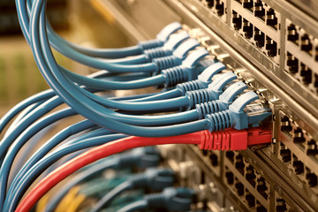 Network switch and ethernet cables,Data Center Concept.