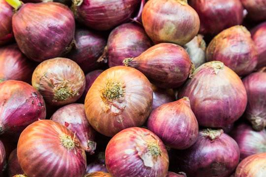 Heaps of fresh red onion bulb