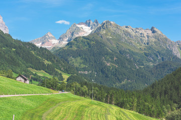 Fototapeta na wymiar Swiss mountains with green land landscape