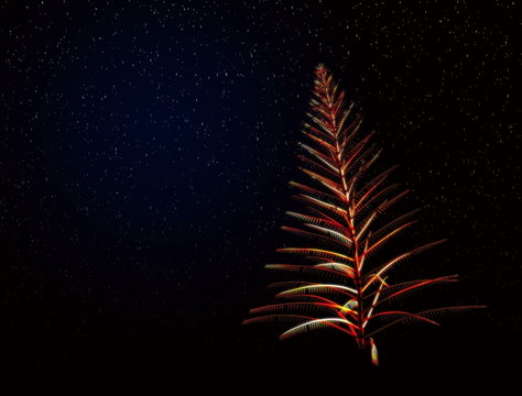 çam ağacı oluşumu 3d animasyon