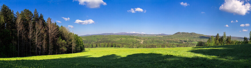 Panorama of the lush green spring meadows and trees