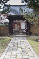 NARA IN JAPAN