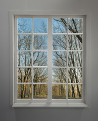 Modern residential window with forest view during autumn