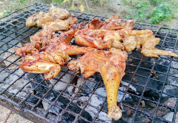 grilled Chicken