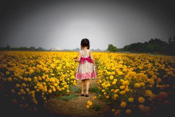 Fototapeta premium Abstract behind little asian kid in Marigolds field
