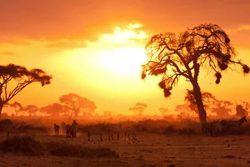 Fotobehang Afrikaanse zonsondergang © ivanmateev