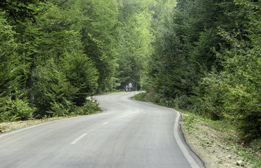 little boy and father walking on the road in forest
