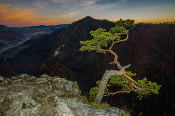 Sokolica, Pieniny ,Polska 