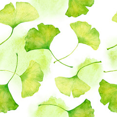 Ginkgo leaves pattern. Watercolor