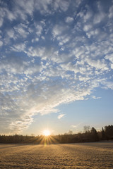 Naklejka na ściany i meble Sonnenaufgang über dem Feld, mit Schäfchenwolken