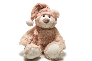 teddy bear in a cap