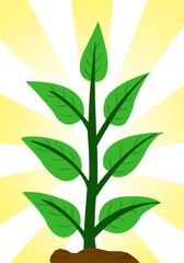 green tree cartoon illustration 