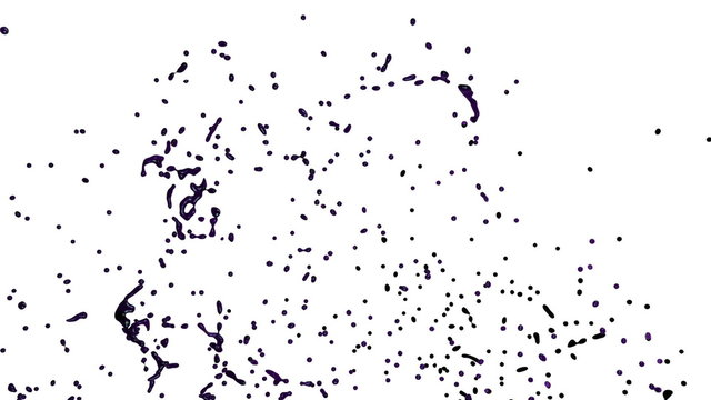purple flow fly in front of camera, alpha channel included