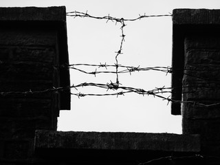 barbed wire prison wall