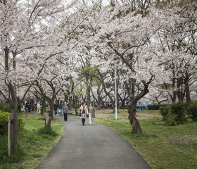 OSAKA IN JAPAN
