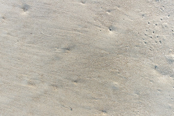 Sandy surface.