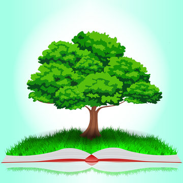 Illustration of an open book with a tree on background.