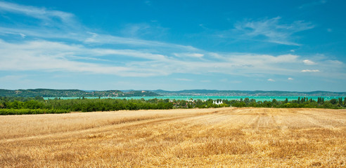 Fototapeta premium View on lake Balaton in summer