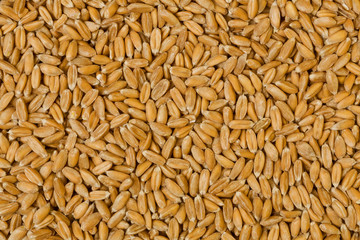 Vollflächig mit Dinkelkörner 