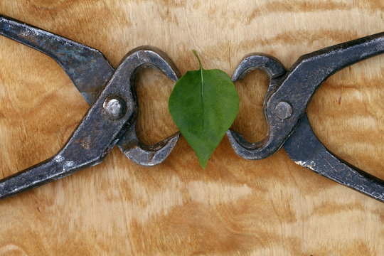 green leaf hamstrung industry abstract conceptual background