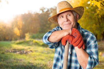 Gardening.