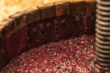 Vendemmia : antico torchio in legno con mosto di uva rossa