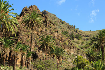Fototapeta na wymiar Hiking in Valle Gran Rey