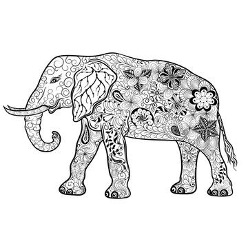 Elephant  doodle