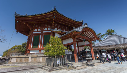 NARA IN JAPAN