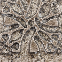 ceramic surface with an ornament
