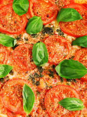 Margharita Pizza