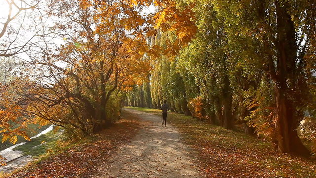 Man running in a autumn colored lane in the forest at sunset