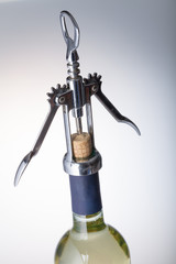 Corkscrew on a bottle of wine