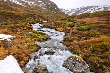 Tundra biome in Norway