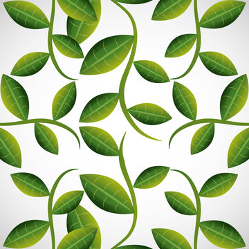 Green leaves or leaf 