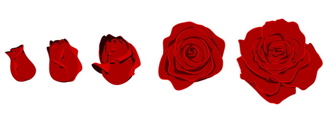 Rose shape, easy to manage color.there are 3 unique layers light,mid,shadow
