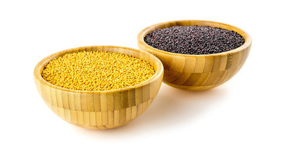 Vibrant yellow mustard with dark black mustard seeds