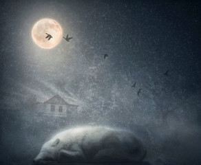 White arctic wolf sleeping under the moon. The concept in low key with vintage texture